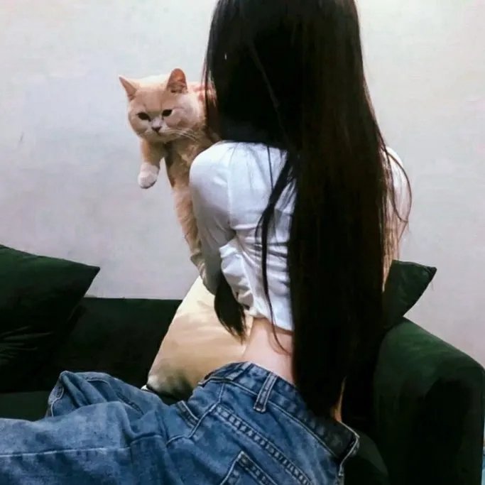 凤栖梧